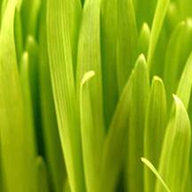 增强版强劲的免费攻击网站