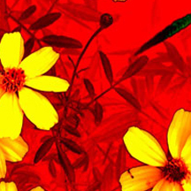 一键切换便利的ddos在线攻击