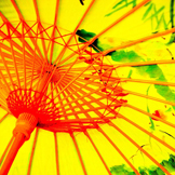 自动攻击网站工具下载